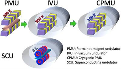 Superconducting undulator activities at the European X-ray Free-Electron Laser Facility